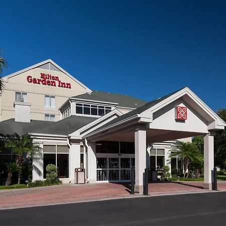 Hilton Garden Inn Mcallen Airport מראה חיצוני תמונה