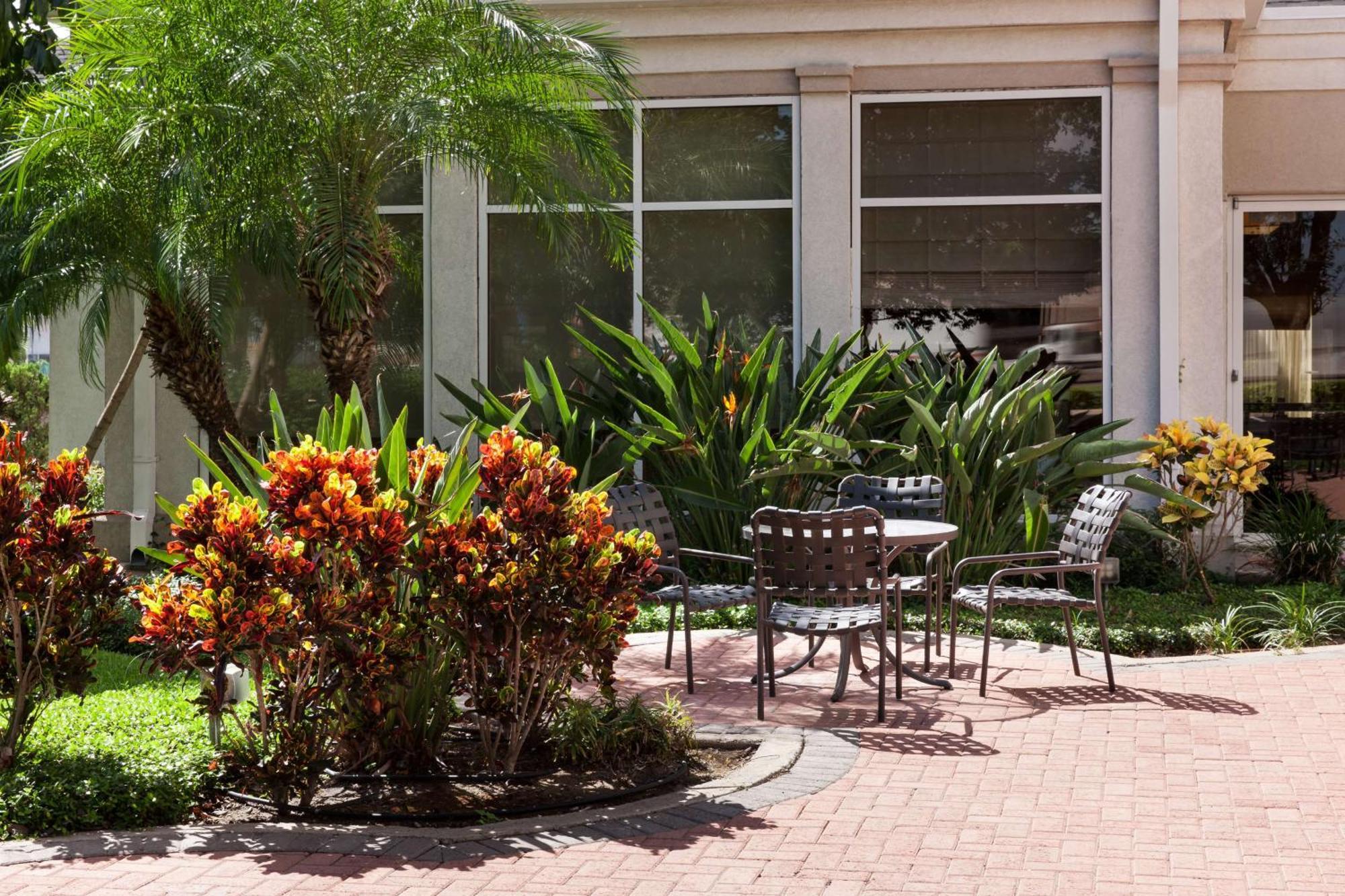 Hilton Garden Inn Mcallen Airport מראה חיצוני תמונה