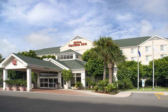 Hilton Garden Inn Mcallen Airport מראה חיצוני תמונה